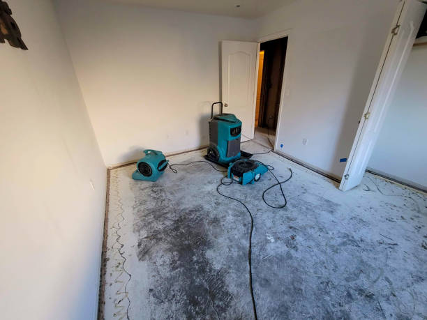 Best Carpet water damage restoration  in Wanakah, NY