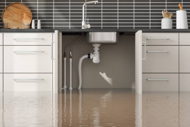 Best Basement water damage restoration  in Wanakah, NY