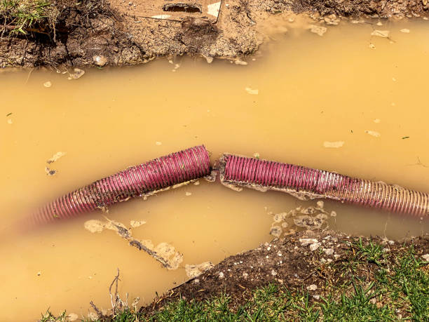 Best Residential water damage restoration  in Wanakah, NY