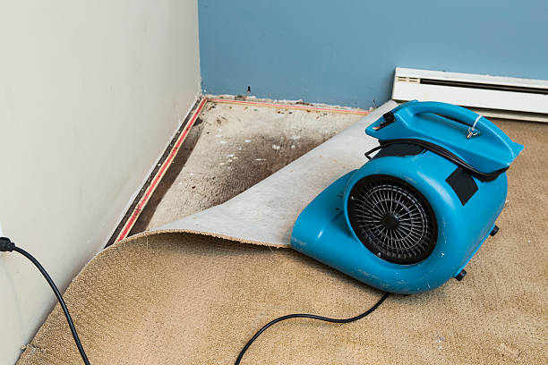  Wanakah, NY Water damage restoration Pros